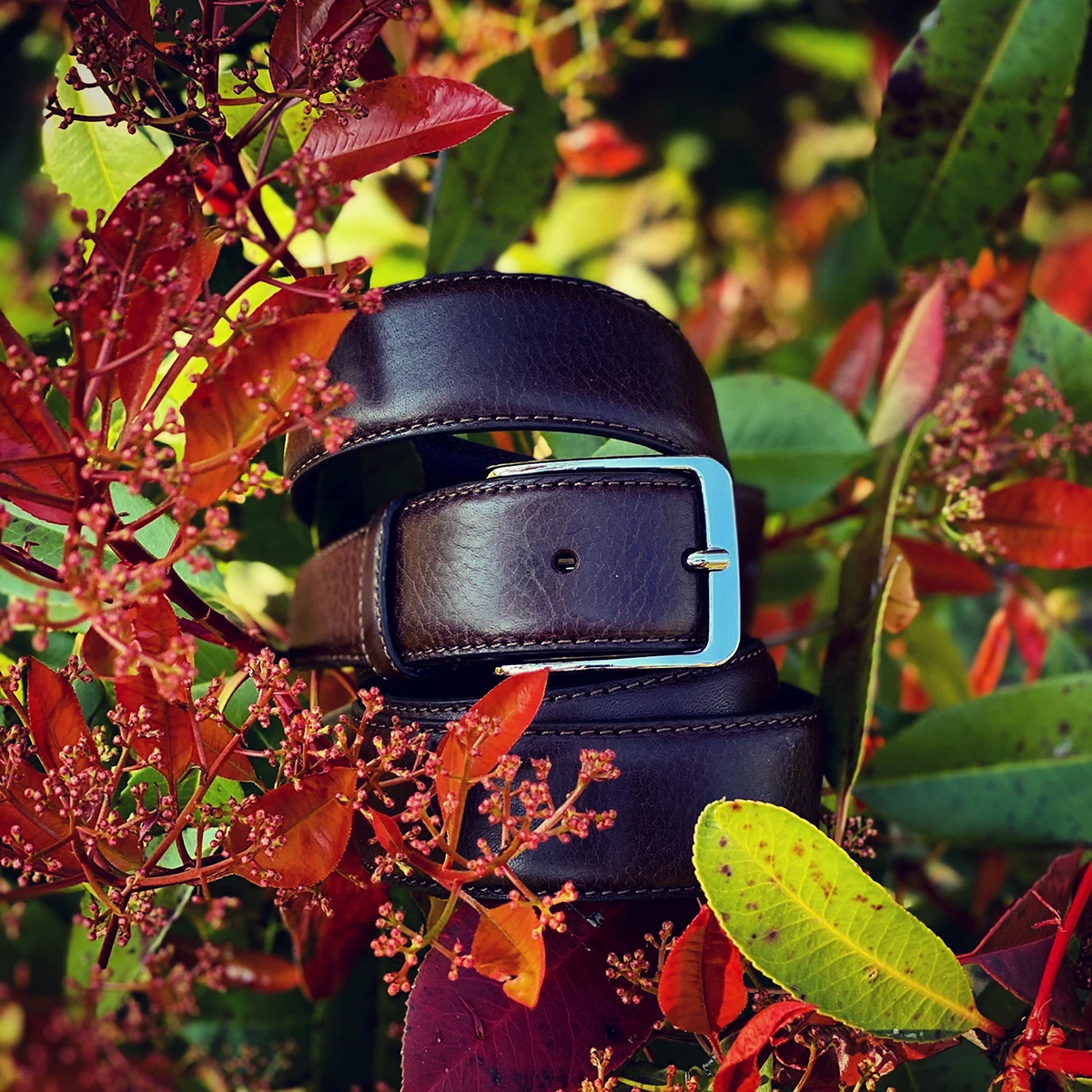 cintura pelle in vacchetta, cintura vacchetta, cintura fiore, cinture uomo ingrosso, cinture uomo per negozi, cinture uomo grossisti, cinture uomo GDO, fornitore cinture uomo, distributore cinture uomo, vendita cinture uomo b2b, cinture uomo SIMPLYUP®, cinture uomo alta qualità, cinture uomo in pelle, cinture uomo eleganti, cinture uomo casual, cinture uomo business, cinture uomo design, cinture uomo tendenza, cinture uomo classiche, cinture uomo moderne, cinture uomo reversibili, fibbie cinture uomo, cinture uomo accessorio, cinture uomo outfit, cinture uomo Made in Italy, cinture uomo nere, cinture uomo marroni, cinture uomo blu, cinture uomo in cuoio, cinture uomo intrecciate, cinture uomo sportive, cinture uomo cerimonie, cinture uomo resistenti, cinture uomo durevoli, stock cinture uomo, ingrosso accessori uomo, acquistare cinture uomo all'ingrosso, collezioni cinture uomo, novità cinture uomo, cinture uomo pratiche, cinture uomo di stile, cinture uomo versatili