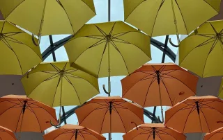 ombrelli SIMPLYUP®, ombrelli ingrosso, ombrelli per negozi, ombrelli grossisti, ombrelli GDO, fornitore ombrelli, vendita ombrelli b2b, ombrelli alta qualità, ombrelli Made in Italy, ombrelli design, ombrelli innovativi, ombrelli robusti, ombrelli antivento, ombrelli automatici, ombrelli manuali, ombrelli pieghevoli, ombrelli lunghi, ombrelli donna, ombrelli uomo, ombrelli tascabili, ombrelli moda, ombrelli protezione pioggia, ombrelli anti-UV, tessuti alta densità, poliestere ombrello, tinto filo ombrello, raso ombrello, strutture leggere ombrello, alluminio ombrello, fibra ombrello, impugnature ergonomiche, collezioni ombrelli, accessori antipioggia, novità ombrelli, stock ombrelli, catalogo ombrelli SIMPLYUP®, distributore ombrelli, soluzioni B2B ombrelli, ombrelli per rivenditori, ombrelli vari modelli