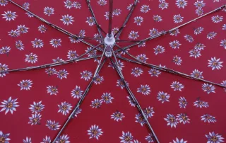 ombrelli SIMPLYUP®, ombrelli ingrosso, ombrelli per negozi, ombrelli grossisti, ombrelli GDO, fornitore ombrelli, vendita ombrelli b2b, ombrelli alta qualità, ombrelli Made in Italy, ombrelli design, ombrelli innovativi, ombrelli robusti, ombrelli antivento, ombrelli automatici, ombrelli manuali, ombrelli pieghevoli, ombrelli lunghi, ombrelli donna, ombrelli uomo, ombrelli tascabili, ombrelli moda, ombrelli protezione pioggia, ombrelli anti-UV, tessuti alta densità, poliestere ombrello, tinto filo ombrello, raso ombrello, strutture leggere ombrello, alluminio ombrello, fibra ombrello, impugnature ergonomiche, collezioni ombrelli, accessori antipioggia, novità ombrelli, stock ombrelli, catalogo ombrelli SIMPLYUP®, distributore ombrelli, soluzioni B2B ombrelli, ombrelli per rivenditori, ombrelli vari modelli